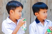 Quảng Nam – Nỗ lực để đưa sữa lên trường học vùng cao