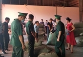 Hơn 100 tấn dược liệu từ Trung Quốc “đội lốt” củ quả để nhập vào Việt Nam