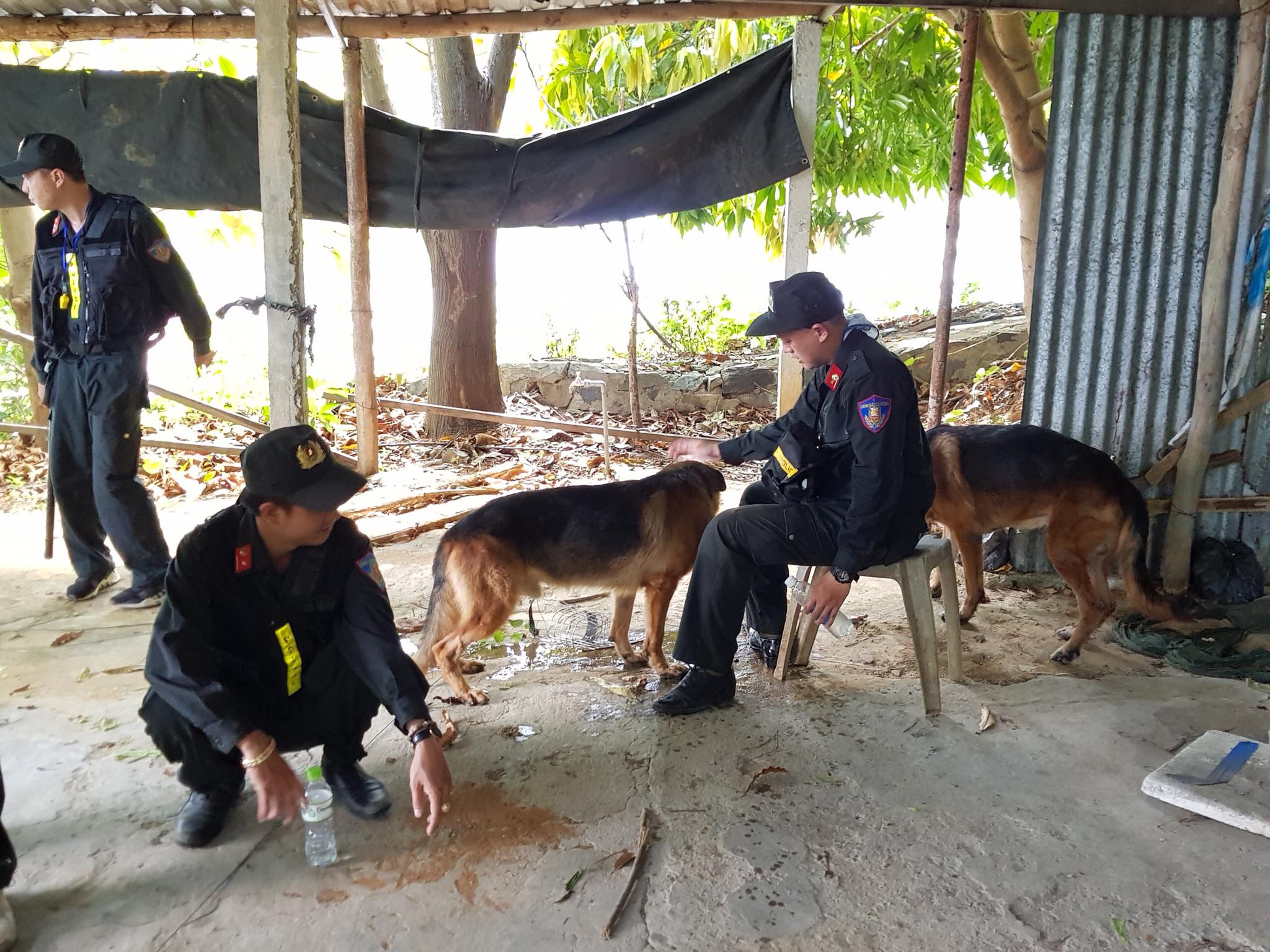 Xem chó nghiệp vụ truy bắt đối tượng vượt ngục nguy hiểm Triệu Quân Sự