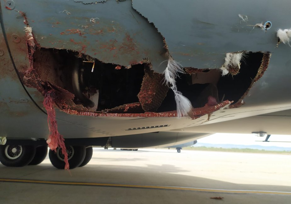 Máy bay vận tải quân sự tầm xa của Anh và Tây Ban Nha vỡ toác sau va chạm với  chim