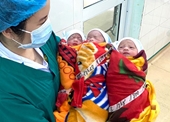 Ca sinh 3 cùng trứng hiếm gặp trên thế giới ở Tuyên Quang