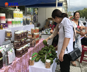 150 gian hàng trưng bày sản phẩm nông nghiệp tại Đà Nẵng