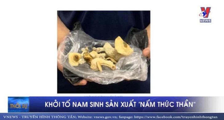 Khởi tố nam sinh sản xuất “nấm thức thần”