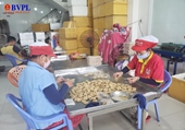 Công nhận bốn sản phẩm mang tính đặc trưng của TP Đà Nẵng