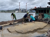 Khởi tố hành vi khai cát trái phép ở Quảng Ninh