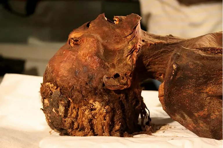 Phát hiện rùng rợn về những cái chết bí ẩn thời Ai Cập cổ đại