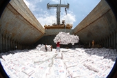 Doanh nghiệp xuất khẩu gạo đi EU có phải đăng ký hạn ngạch