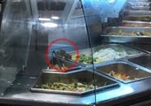 Aeon Việt Nam thông tin vụ chuột bò trên khay đồ ăn trong khu ẩm thực