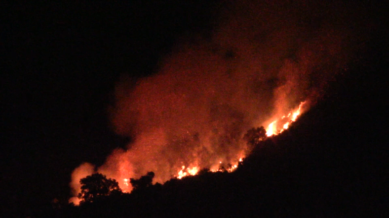 Đà Nẵng dập tắt cháy rừng trong đêm