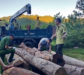 Phát hiện một lượng gỗ vô chủ tập kết trái phép ở huyện Hương Sơn