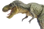 Phát hiện loài khủng long mới có cùng họ hàng với khủng long bạo chúa T-rex