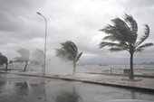 Chủ động ứng phó với áp thấp nhiệt đới có thể mạnh lên thành bão