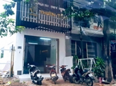 Dấu hỏi về các công ty chuyên “trượt thầu” tại Đà Nẵng