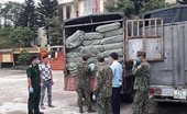 Phát hiện vụ vận chuyển gần 700 000 chiếc khẩu trang y tế nhập lậu tại Cao Bằng