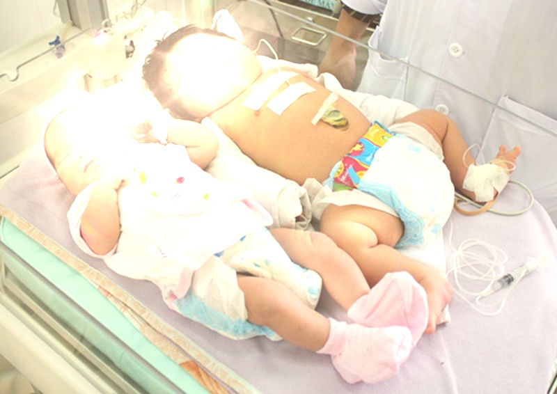 Sự thật kinh hoàng phía sau “Hội cho và nhận con nuôi” trên mạng xã hội