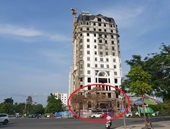 Cây xanh ở Hải Phòng nghi bị “hạ độc” trước công trình xây dựng