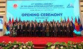 Các nước ASEAN cần chung tay chống lại đại dịch COVID- 19
