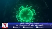 Virus SARS-CoV-2 có thể tấn công trực tiếp vào não người