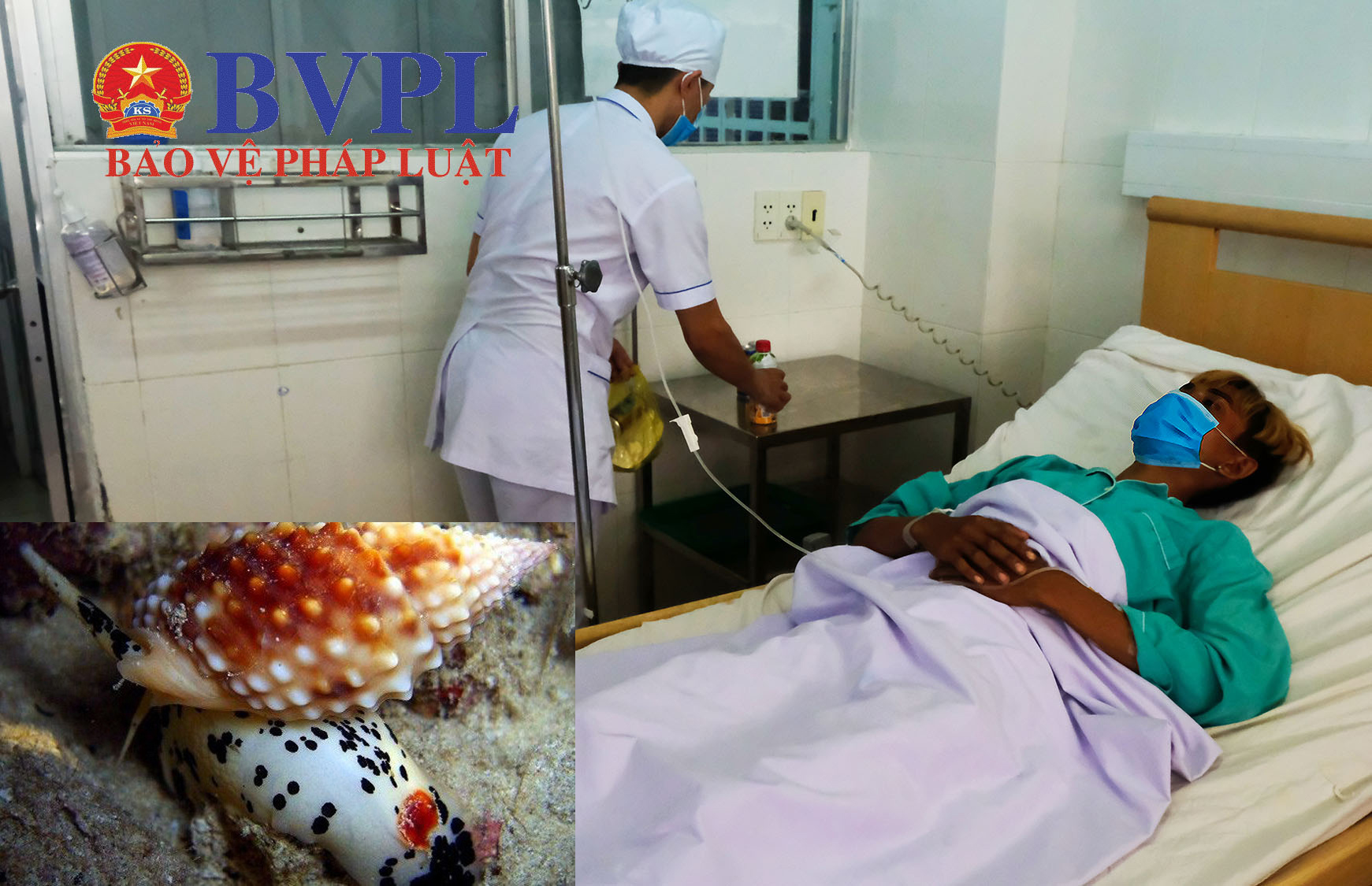 Bữa ăn định mệnh với món ốc lạ của 3 ngư dân