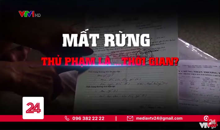 Mất rừng – Thủ phạm là … thời gian