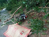 Nhói lòng nhìn cảnh tan hoang ở Thừa Thiên - Huế sau cơn bão số 5