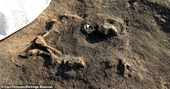 Hài cốt chó hơn 8 400 năm tuổi được phát hiện ở Thụy Điển