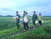 Ngăn chặn nạn tận diệt chim, cò hoang dã ở huyện Hương Sơn