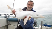 Tìm thấy cá mập bạch tạng cực hiếm ngoài khơi nước Anh