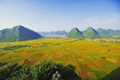 Khám phá “Thung lũng vàng” Bắc Sơn - điểm đến du lịch cộng đồng xứ Lạng