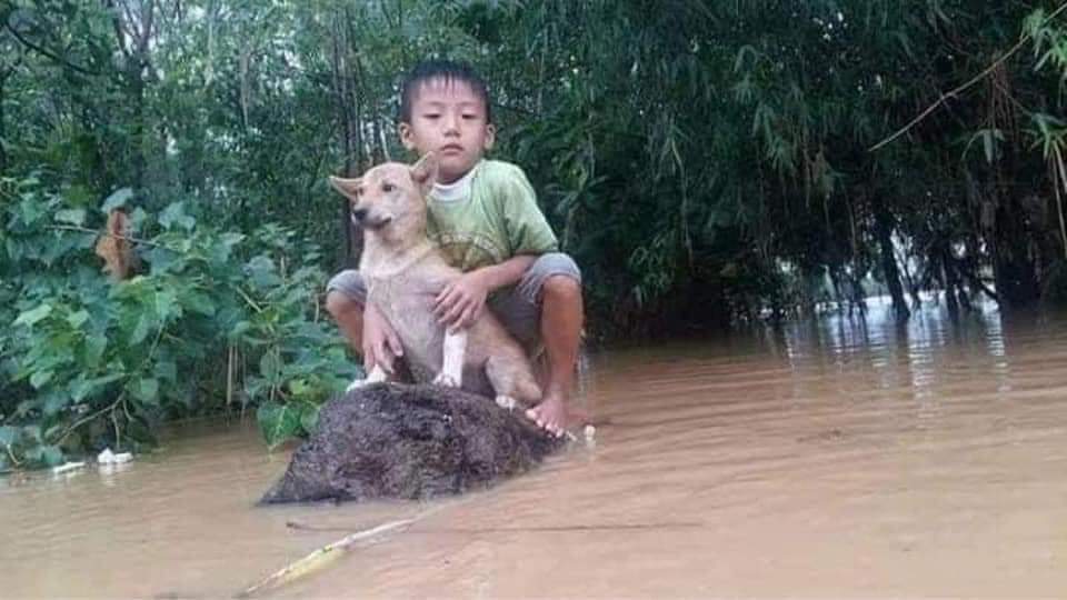 Những hình ảnh nhói lòng từ tâm lũ miền Trung