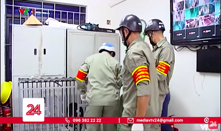 Muôn vàn lý do để chó thả rông