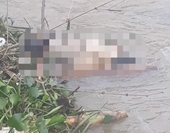 Phát hiện thi thể 1 người đàn ông nổi trên sông tại Thừa Thiên- Huế
