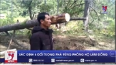 Xác định 6 đối tượng phá rừng phòng hộ Lâm Đồng