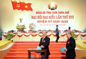 Danh sách Ban Chấp hành Đảng bộ tỉnh Thừa Thiên Huế khóa XVI, nhiệm kỳ 2020-2025