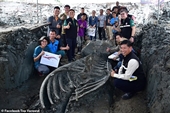 Phát hiện xương hóa thạch cá voi có niên đại lên tới 5 000 năm tuổi ở Thái Lan