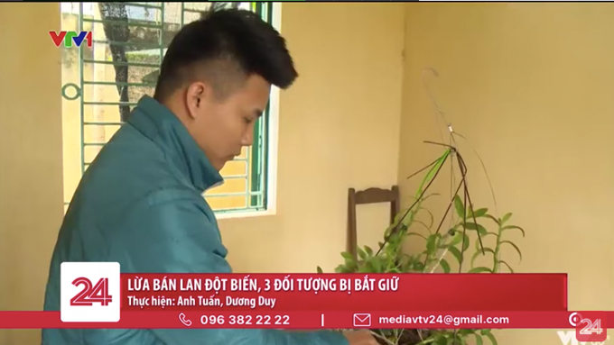 Lừa bán lan đột biến, 3 đối tượng bị bắt giữ