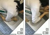 HLV Taekwondo gây sốc khi phạt học trò rửa mặt bằng bồn cầu