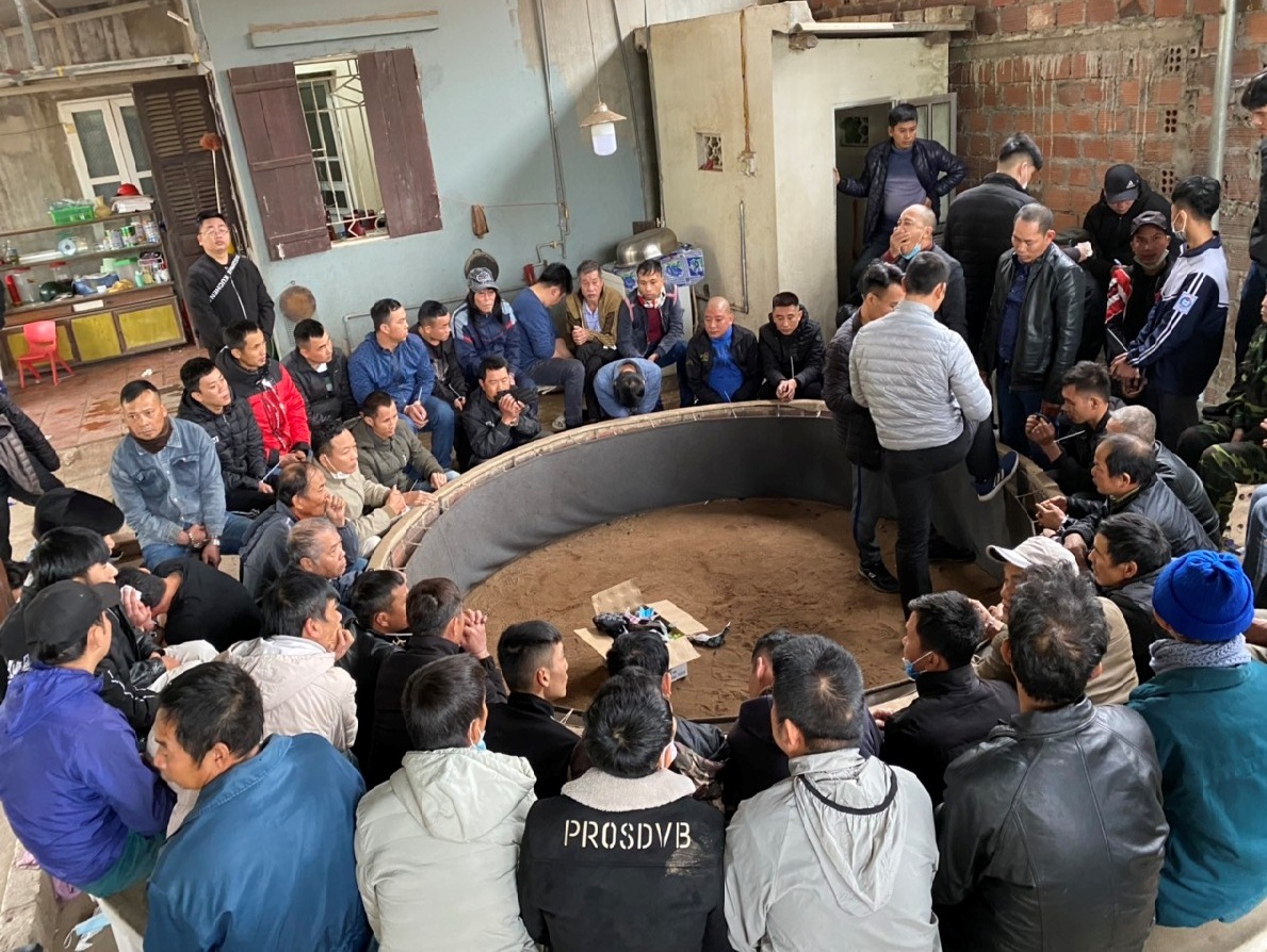 Đột kích sới gà lớn nhất Quảng Ninh, tạm giữ 59 đối tượng