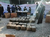 Phát hiện vụ vận chuyển 665kg ma túy trong container qua cảng Hải Phòng