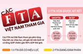 Các AFTA Việt Nam tham gia tính đến tháng 12 2020