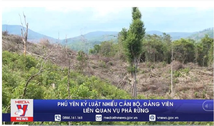 Phú Yên kỷ luật nhiều cán bộ, đảng viên liên quan vụ phá rừng