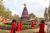 Nghỉ Tết Dương lịch 2021, người dân thích thú check in Lễ hội hoa Xuân Quan