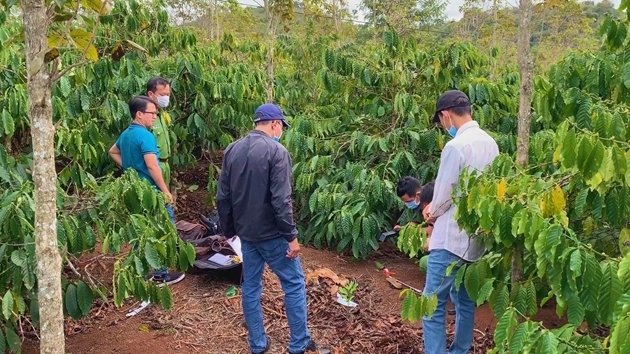 Điều tra một kế toán UBND xã tử vong bất thường tại rẫy cà phê