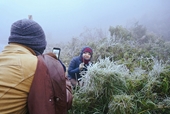 Tuyết rơi trắng xóa ở Lào Cai, du khách đua nhau khoe hình check-in