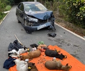 Trộm chó bị phát hiện, cẩu tặc dùng ô tô tông thẳng vào xe Công an