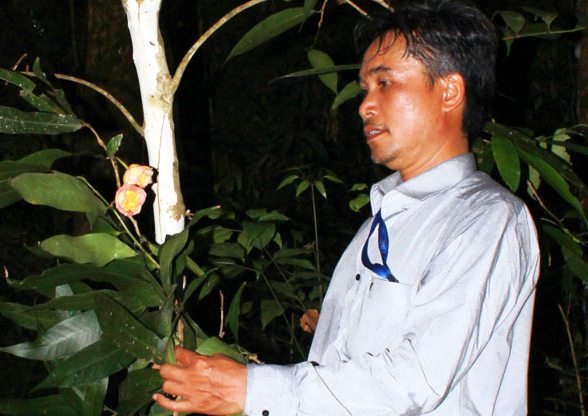 Phát hiện loài hoa Trà mi đặc hữu cực hiếm ở Vườn Quốc gia Bidoup-Núi Bà