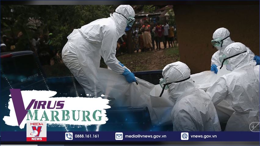 Những loại virus nguy hiểm nhất hành tinh