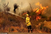 Cháy rừng kinh hoàng ở Tây Úc giữa lúc 2 triệu dân đang bị phong tỏa do COVID-19
