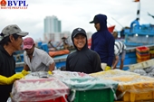 Chuyến biển cuối năm đầy vị ngọt của ngư dân miền Trung