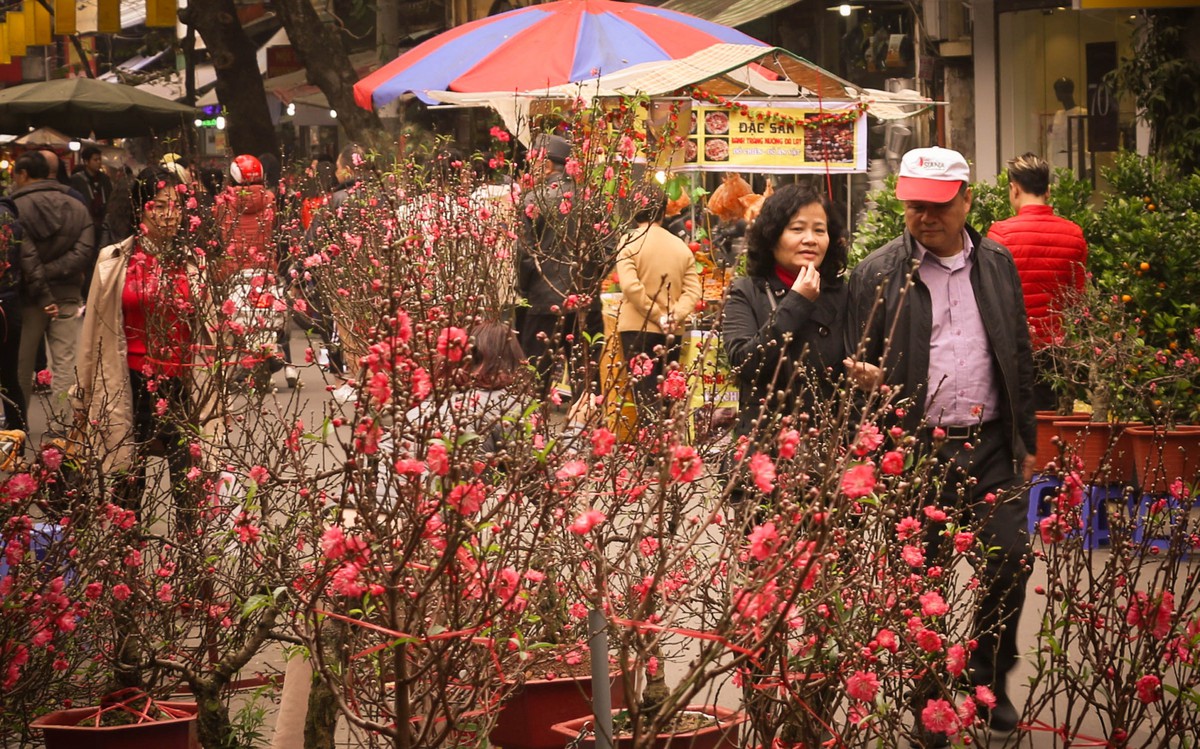 Miền Bắc đón tiết trời đẹp trong đêm giao thừa